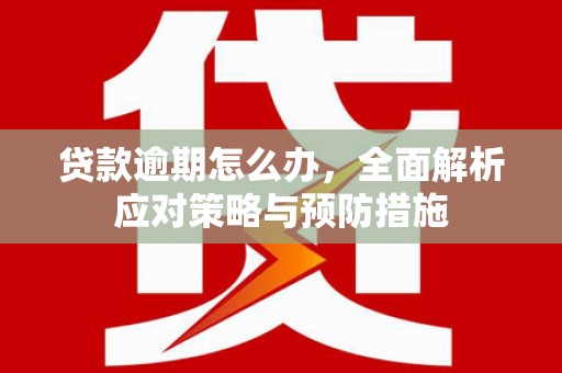 佳县贷款逾期怎么办，全面解析应对策略与预防措施