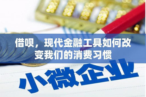 花莲借呗，现代金融工具如何改变我们的消费习惯