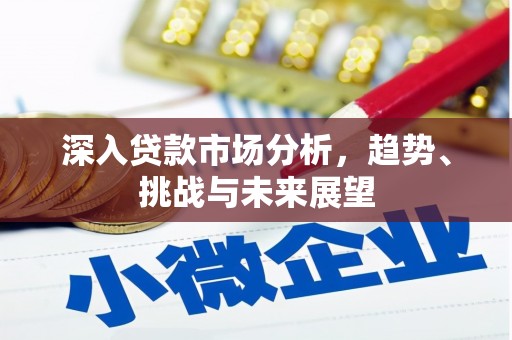 郧阳深入贷款市场分析，趋势、挑战与未来展望