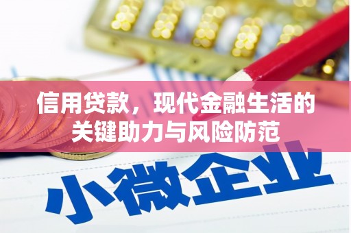 南安信用贷款，现代金融生活的关键助力与风险防范