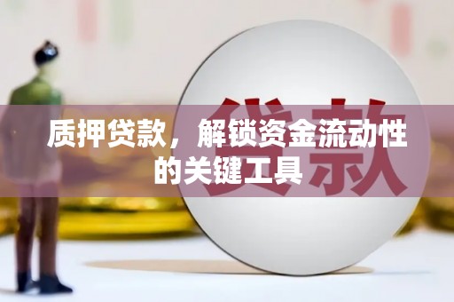 河口质押贷款，解锁资金流动性的关键工具