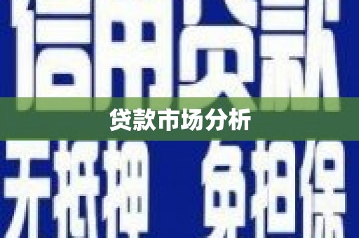 贞丰贷款市场分析