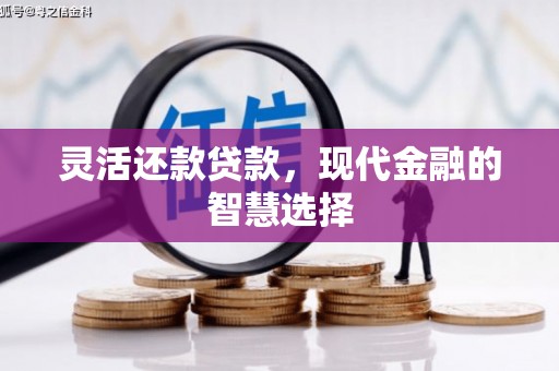 利津灵活还款贷款，现代金融的智慧选择