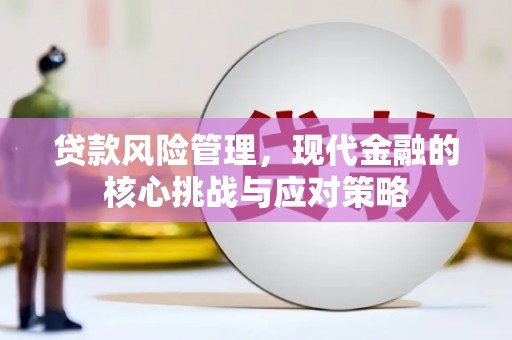 盐池贷款风险管理，现代金融的核心挑战与应对策略