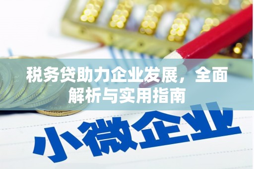 称多税务贷助力企业发展，全面解析与实用指南