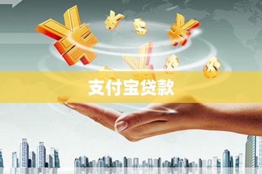 康马支付宝贷款