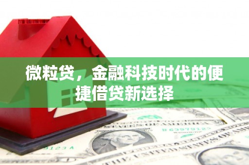 深圳微粒贷，金融科技时代的便捷借贷新选择
