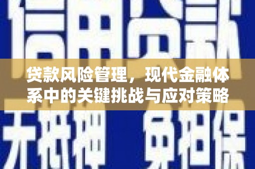 信丰贷款风险管理，现代金融体系中的关键挑战与应对策略