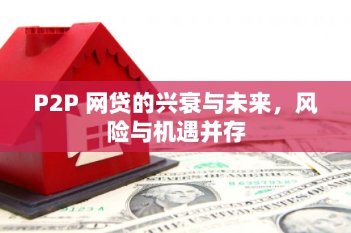 木垒P2P 网贷的兴衰与未来，风险与机遇并存