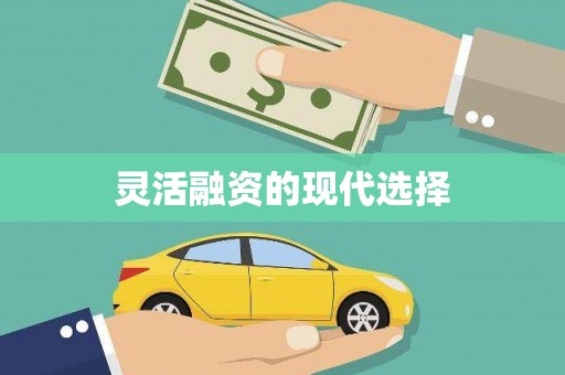 岱岳灵活融资的现代选择