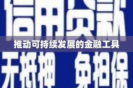 陆丰推动可持续发展的金融工具