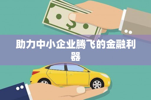 台西助力中小企业腾飞的金融利器