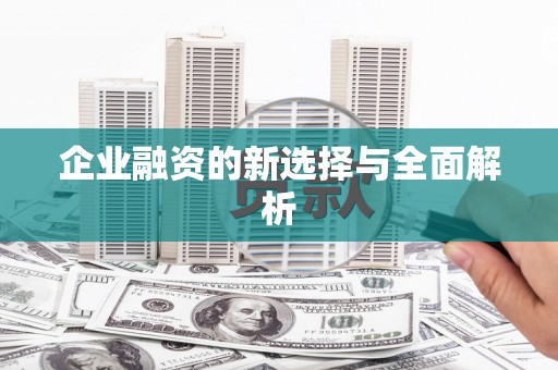 狮潭企业融资的新选择与全面解析