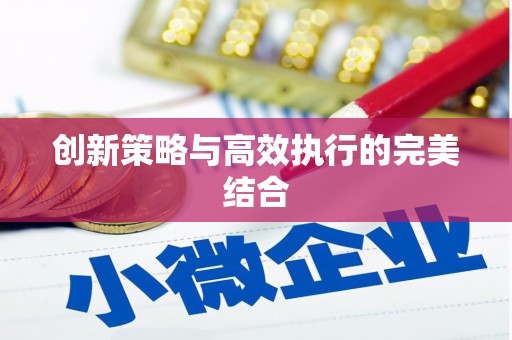 尖石创新策略与高效执行的完美结合