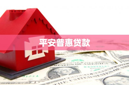 天长平安普惠贷款